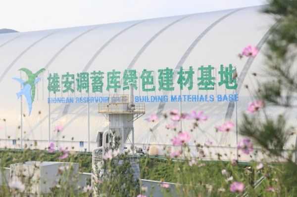 地下室墻面用集成板好嗎